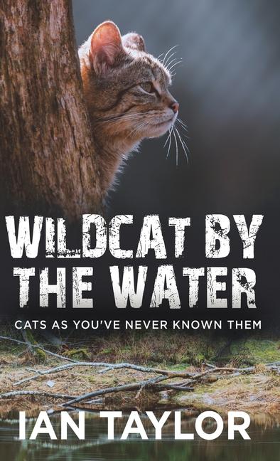 Wildcat By The Water: Cats As You've Never Known Them