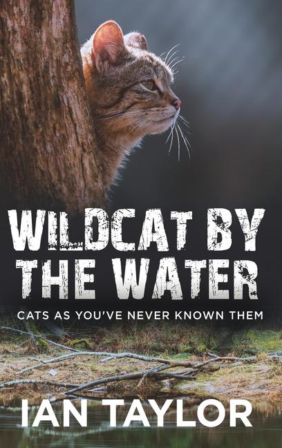 Wildcat By The Water: Cats As You've Never Known Them