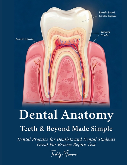 Dental Anatomy Teeth & Beyond Made Simple: Dental Practice for Dentists and Dental Students Great Fo