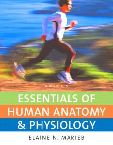 Essentials of Human Anatomy & Physiology, 9th Edition