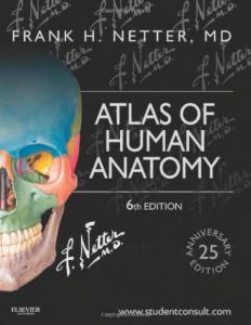 Atlas of Human Anatomy 6th edition