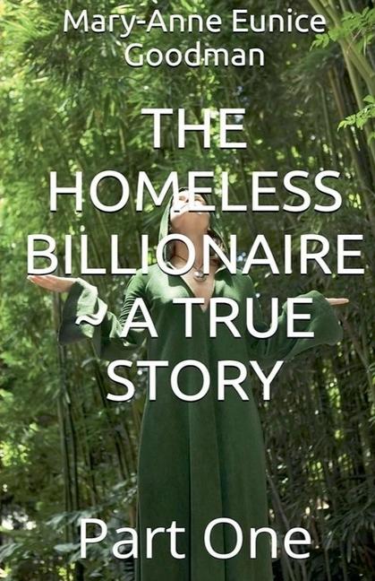 Homeless Billionaire - A True Story - Part 1