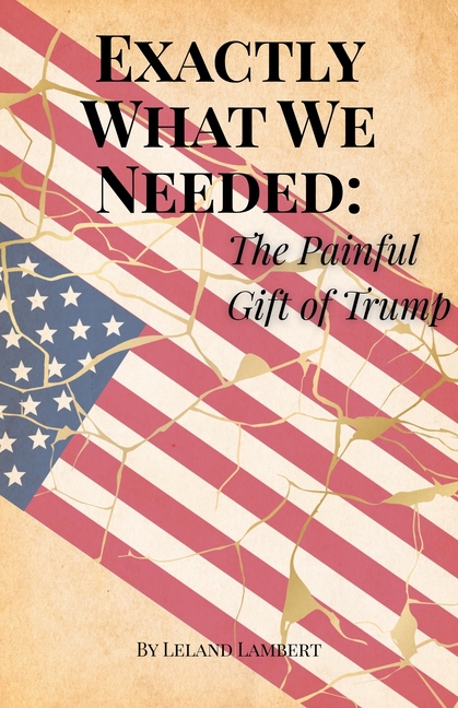 Exactly What We Needed: The Painful Gift of Trump