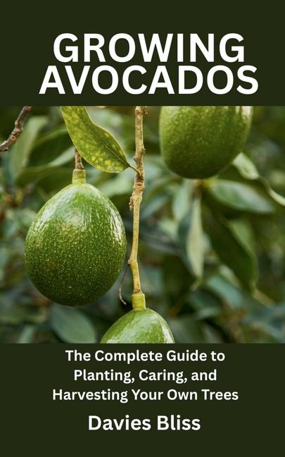 Growing Avocados Tree: The Complete Guide to Planting, Caring, and Harvesting Your Own Trees