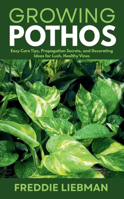 Growing Pothos: Easy Care Tips, Propagation Secrets, and Decorating Ideas for Lush, Healthy Vines