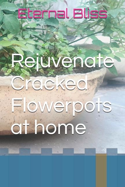 Rejuvenate Cracked Flowerpots at home