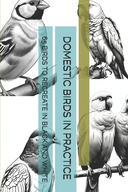 Domestic Birds in Practice: 65 Birds to Recreate in Black and White