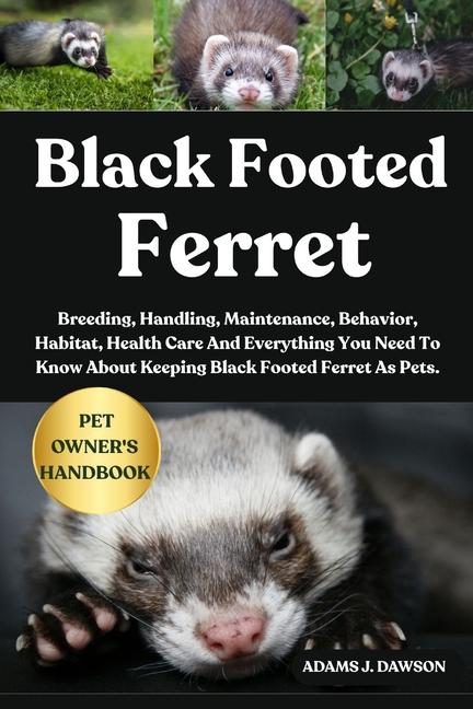 Black Footed Ferret: Breeding, Handling, Maintenance, Behavior, Habitat, Health Care And Everything 
