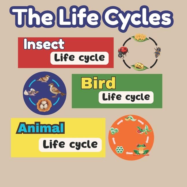 Life Cycles