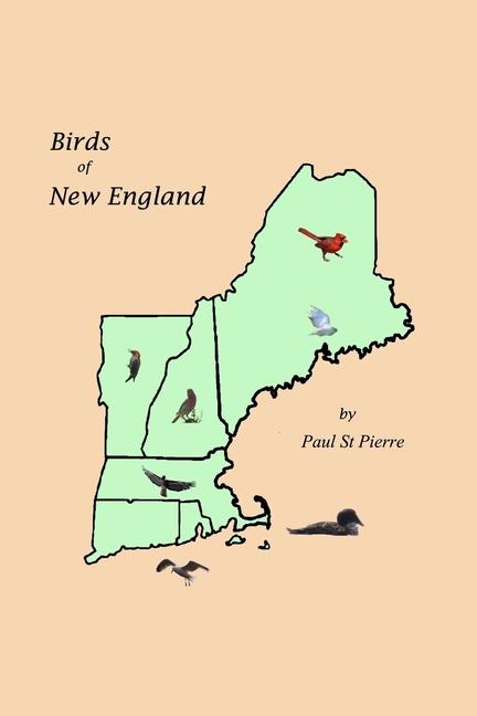 Birds of New England