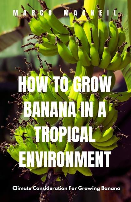How To Grow Banana In A Tropical Environment: Climate Consideration For Growing Banana