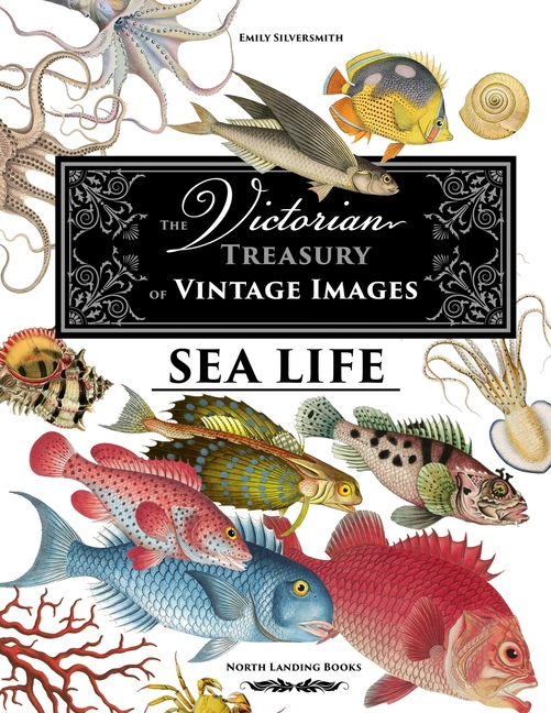 Victorian Treasury of Vintage Images - Sea Life