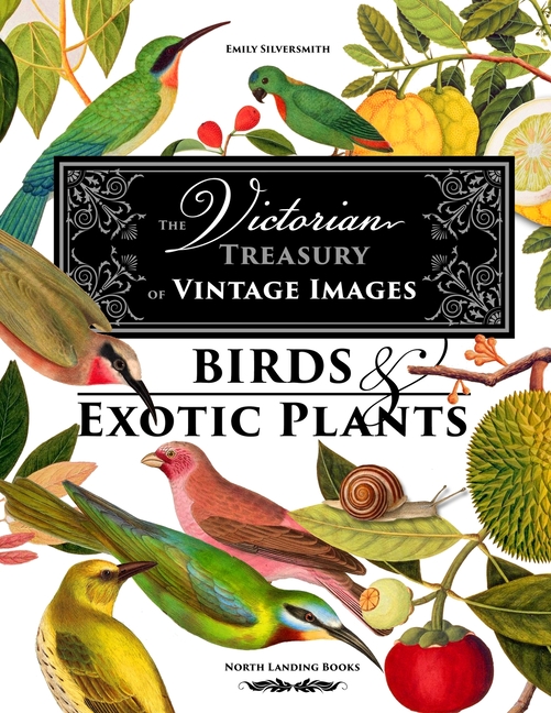 Victorian Treasury of Vintage Images - Birds and Exotic Plants