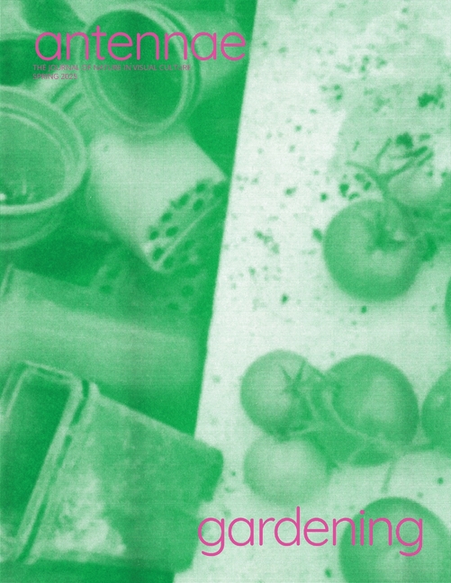 Detail Image