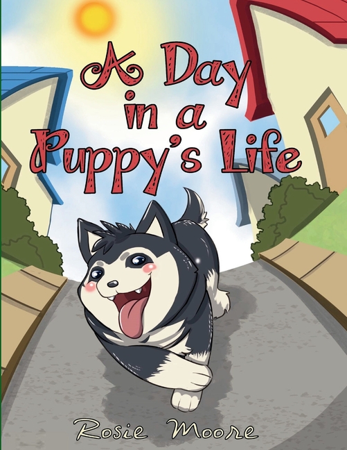Day in a Puppy's Life