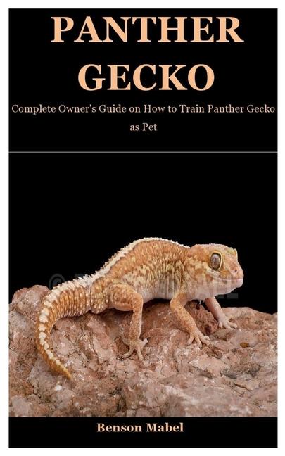 Panther Gecko: Complete Owner's Guide on How to Train Panther Gecko as Pet