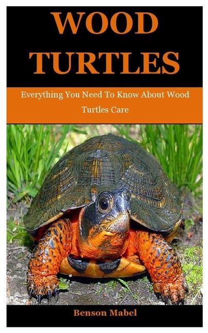 Wood Turtles: Everything You Need To Know About Wood Turtles Care