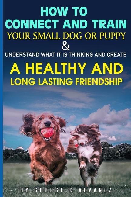How to connect and train your small dog or puppy and understand what it is thinking and create a hea