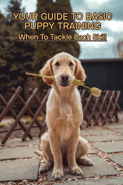 Your Guide To Basic Puppy Training: When To Tackle Each Skill: Puppy Training Treats