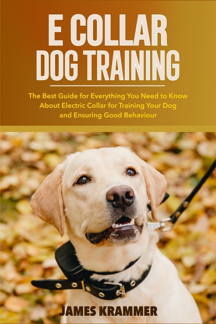 E Collar Dog Training: The Best Guide for Everything You Need to Know About Electric Collar for Trai