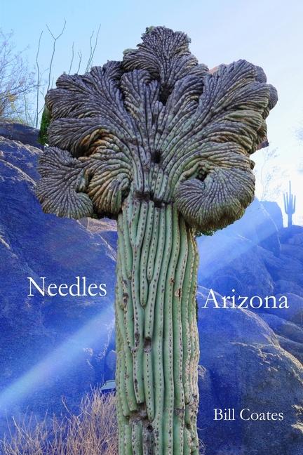 Needles Arizona